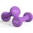 Proiron Dumbbells Training Neoprene Dumbbell Weights 2 x 1.5kg