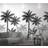 Marburg Palm Trees Plants (47204)