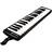 Hohner Performer 37