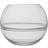 Premier Housewares Room Flower Clear Fish Flowers Vase