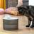 InnovaGoods Genopladelig drikkefontæne til katte med sensor
