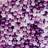 Shein 200pcs Faux Pearl Beads for Jewelry Making, 6/8mm Round Loose Faux Pearls Beads with Hole, Bracelet Faux Pearls for Crafts
