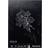 Kreatima KR Black Pad A4 30 ark
