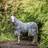 Horseware Amigo CamoFly Grey/Orange