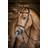 LeMieux Work Bridle, Brown Cob Brown