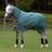 Weatherbeeta Comfitec Tyro Combo Neck Lite Plus Turnout - Green/Burnt