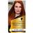 Schwarzkopf Oleo Intense Permanent Oil Colour 7-77 Copper Dye