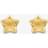 T.H.Baker 9ct Yellow Gold Satin Brushed Star Stud Earrings SE870