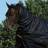 Bucas Irsk Combi Neck - Sort