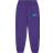 Billionaire Boys Club Small Arch Logo Sweatpants - Grape