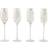 Mikasa Cheers Etched Champagne Glass 30cl 4pcs