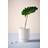 Jotex RUBY JO kruka Naturvit ∅21cm