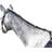 Shires Daisy Rein - Onesize