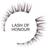 Tatti Lashes Of Honour
