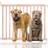 Bettacare Chunky Wooden Screw Fit Dog Gate 63.5-105.5cm