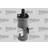 Valeo Ignition Coil 245010