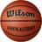 Wilson Evolution Basketball 7