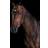 Weatherbeeta ComfiTec Training Bridle - Brown