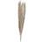 Ginger Ray Party Decorations Natural Pampas Grass 5pcs