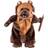 Jazwares Star Wars Endor Ewok Costume for Pets