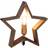 Star Trading Lysekil Brown Julstjärna ∅ 30cm
