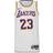 NIKE Men's Los Angeles Lakers Association Edition 2022/23 Dri-Fit NBA Swingman Jersey