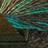 SIRDAR Jewelspun Aran Golden Green 200g