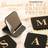 Shein Stainless Steel Folding Makeup Mirror Personalized Gold-Foil Letters - Black