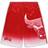 Fanatics Men's Chicago Bulls Big & Tall Graphic Shorts