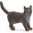 Schleich British Shorthair Cat 13973