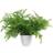 Leaf Potted Southern Wood Fern Green Artificial Plant