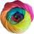 Papatya Shade 05 Sundae DK Multicoloured Knitting Crochet Yarn