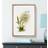 East Urban Home Magnolia Flowers White/Green/Grey Framed Art 50x76cm