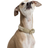 Cloud7 Flower Dog Collar Large