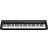 Casio CT-S1 Black