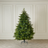 The Winter Workshop Brewer Spruce Classic Green Christmas Tree 210cm