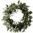 Ginger Ray Mistletoe Green Julpynt