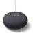 Google Nest Mini Charcoal