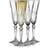 Lyngby Melodia Champagneglas 16cl 4st