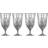 Lyngby Glas Melodia Beer Glass 40cl 4pcs