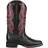 Ariat Cattle Caite W - Black/Deertan Madison Avenue