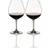 Riedel Vinum Pinot Noir Red Wine Glass 70cl 2pcs