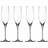 Spiegelau Authentis Champagneglas 19cl 4stk