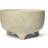 ferm LIVING Evoke flower