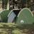 vidaXL 4-Personers Campingtelt Vandtæt Grøn