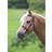 Shires Plain In Hand Bridle, Havana Pony Havana