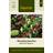 Impecta Sallat, Baby Leaf, Gourmet