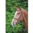 Shires Velociti GARA Comfort Fit Bridle Black: Pony Pony