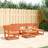 vidaXL 5 Piece Garden Wax Brown Outdoor Lounge Set