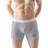 Green Fish Men's Boxer Briefs - Grey